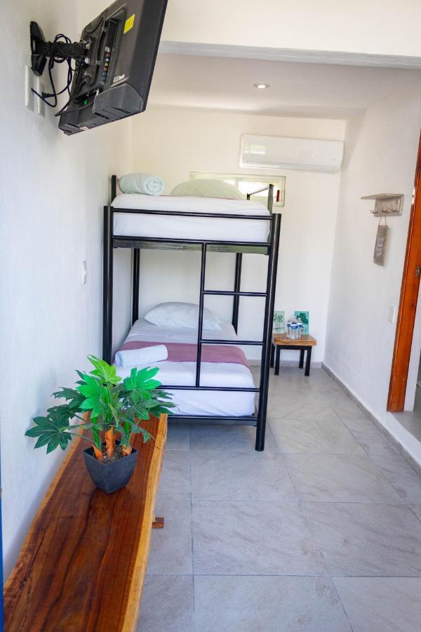 Hotel Seyba Bakalar Bacalar Exteriér fotografie